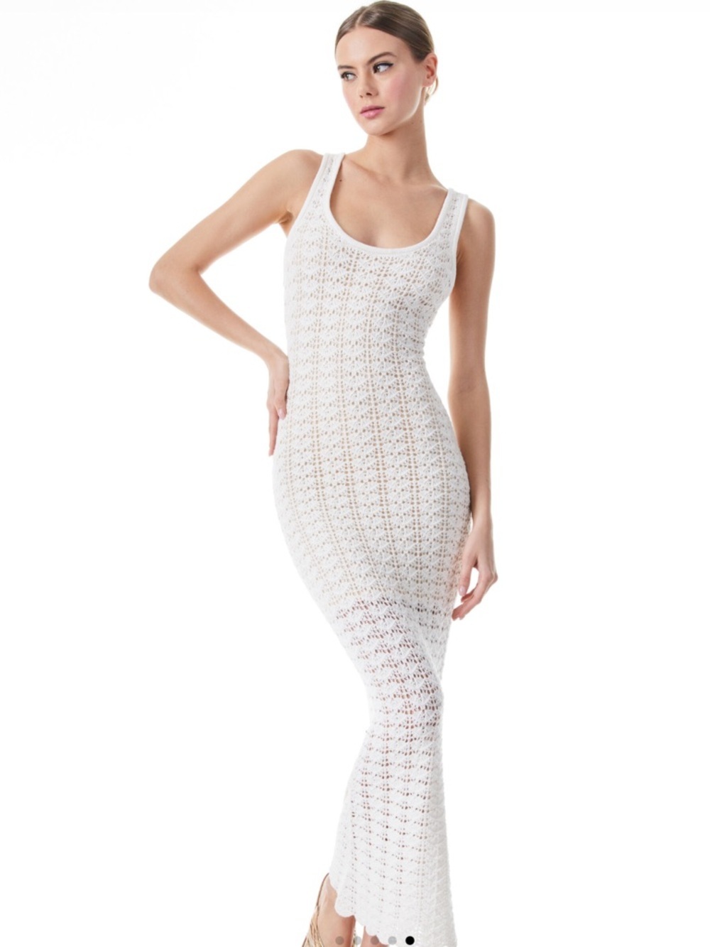 NWT Alice + Olivia VERONIQUE POINTELLE SCOOP NECK DRESS SZ L